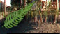 sunsetlake3001007.jpg